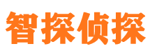 大安市私家侦探